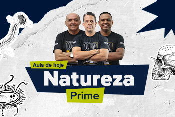 AULA DO DIA - NATUREZA PRIME