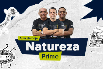 AULA DO DIA - NATUREZA PRIME